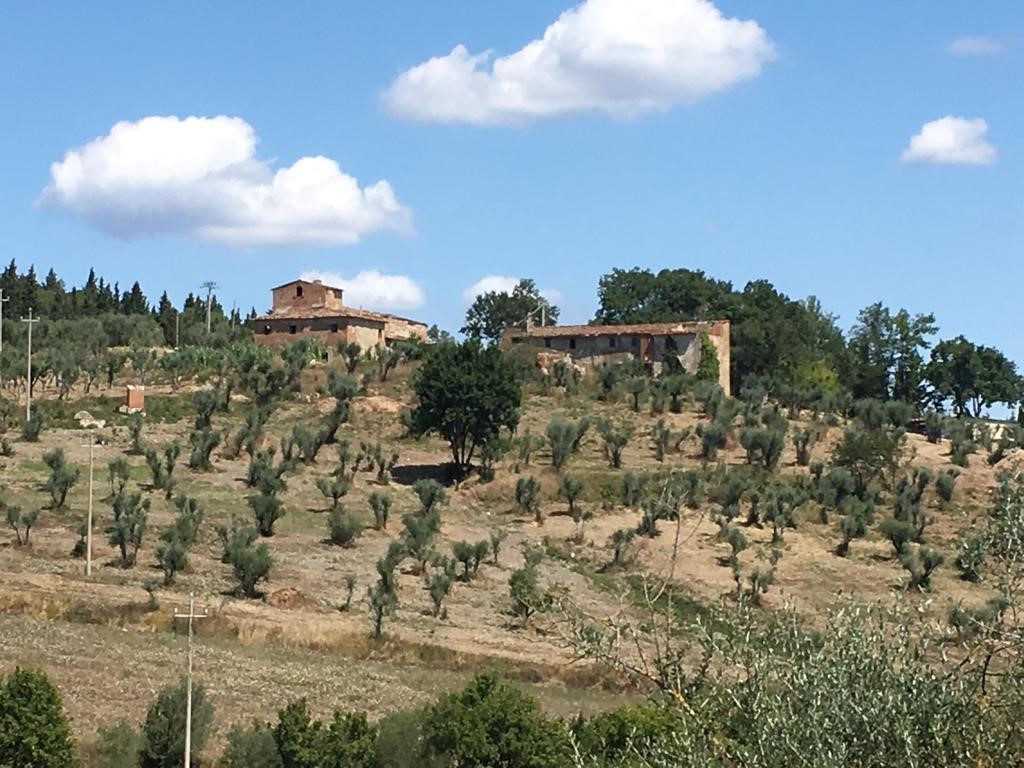Avviso di alienazione mediante asta pubblica di complesso immobiliare posto in Impruneta (FI), via Terre Bianche nn. 4, 8 e 10.